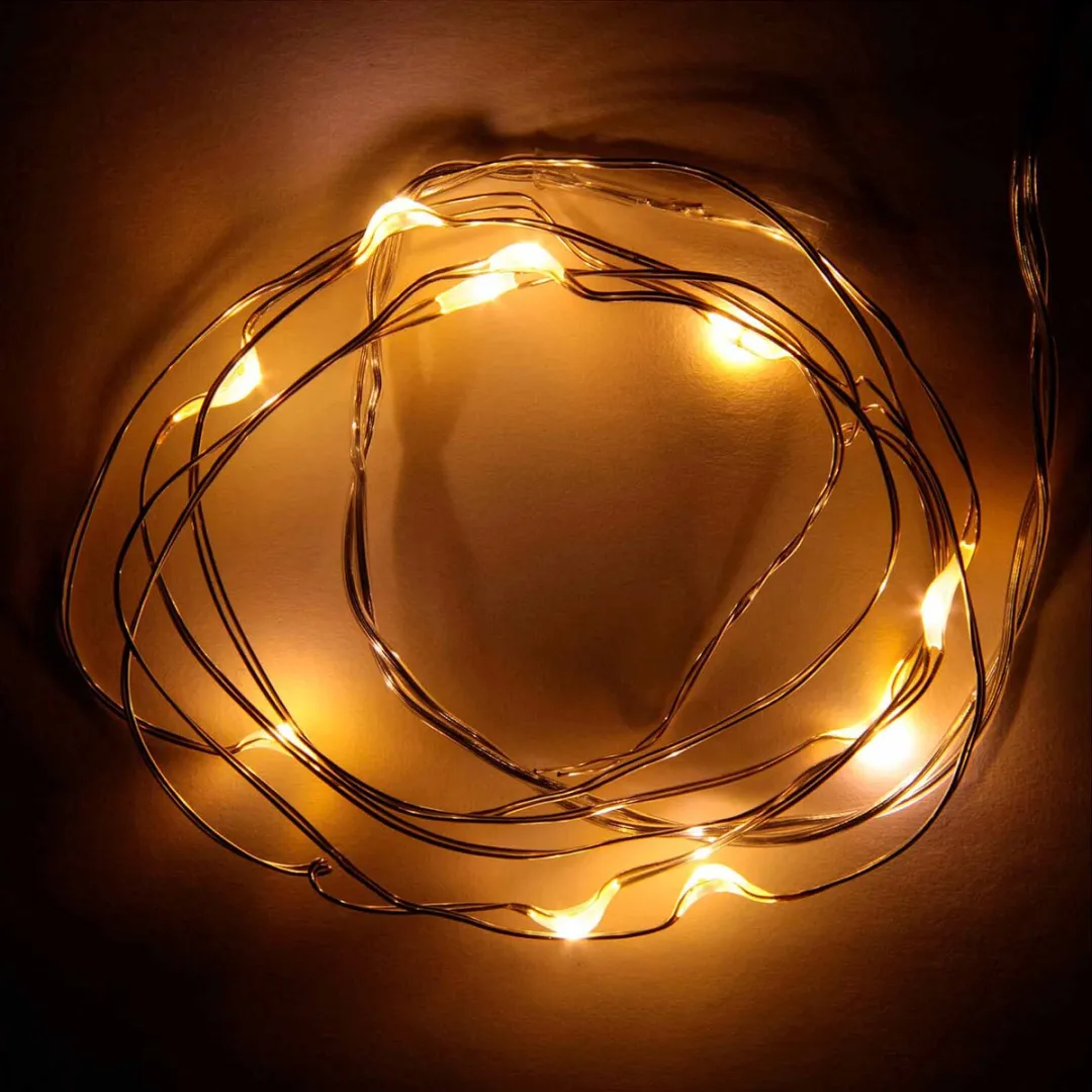 Anna's Collection Draadverlichting 20 LED - 1m - Zilver