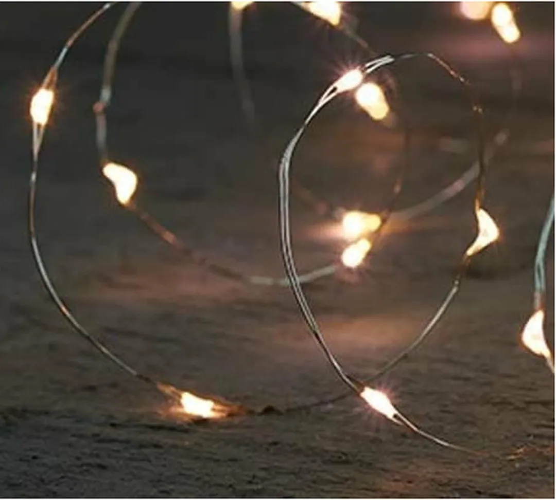Anna's Collection Draadverlichting 20 LED - 1m - Zilver