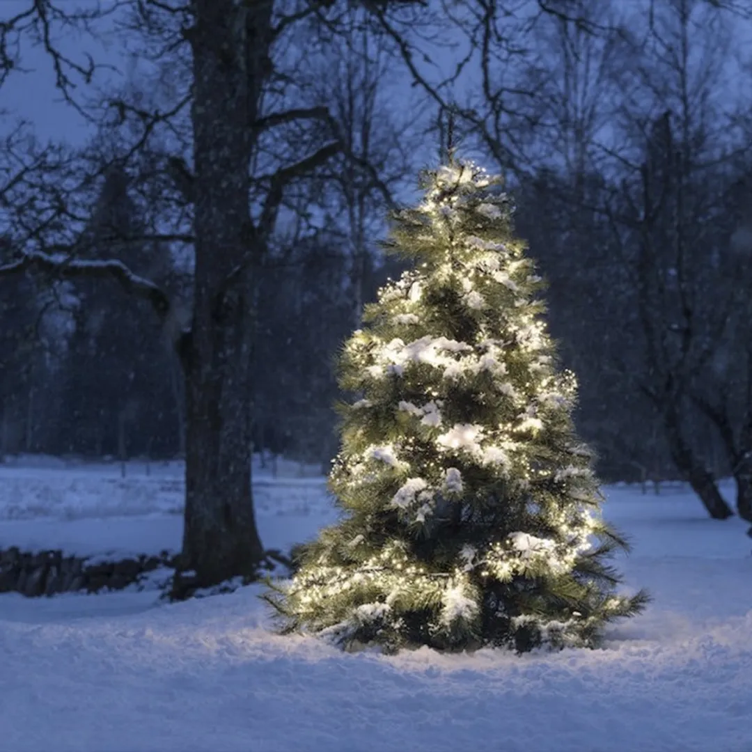 Konstsmide Clusterverlichting 1152 LEDs