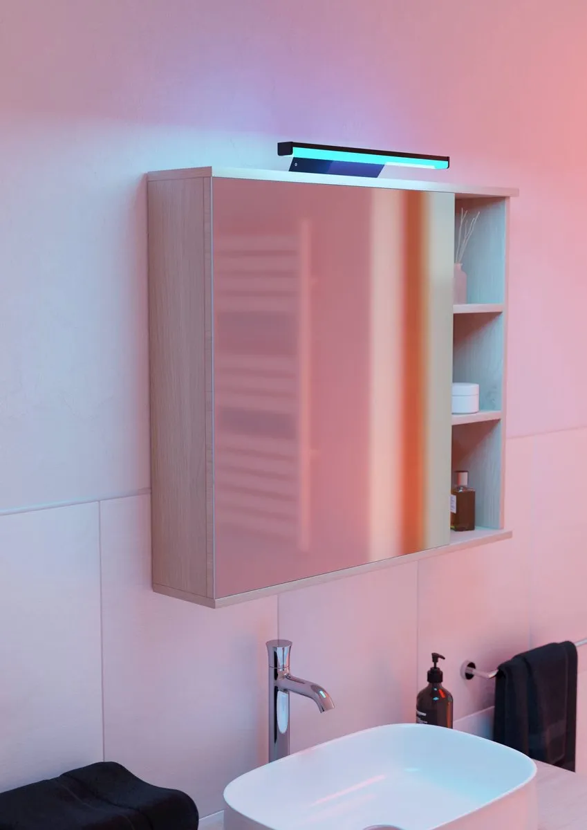 EGLO connect.z Regello-Z Smart Spiegellamp 60cm - Zwart