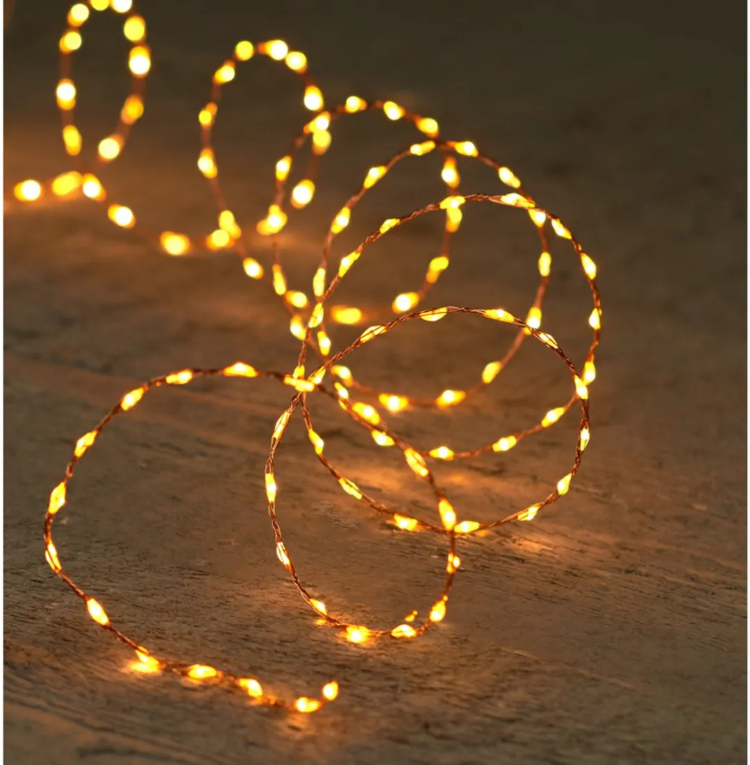 Anna's Collection Draadverlichting 66 LED - 1m - Koper