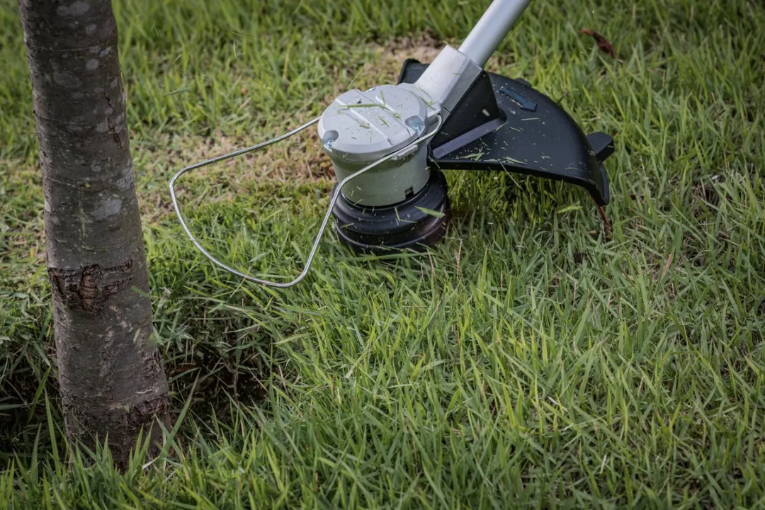 Bosch Professional GRT 18V-33 Grastrimmer 33mm - afbeelding 6 van 6