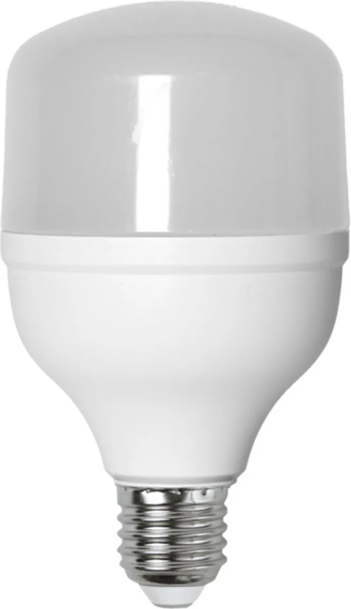 Star Trading Staaflamp E27 20W Daglicht - Mat Opaalglas