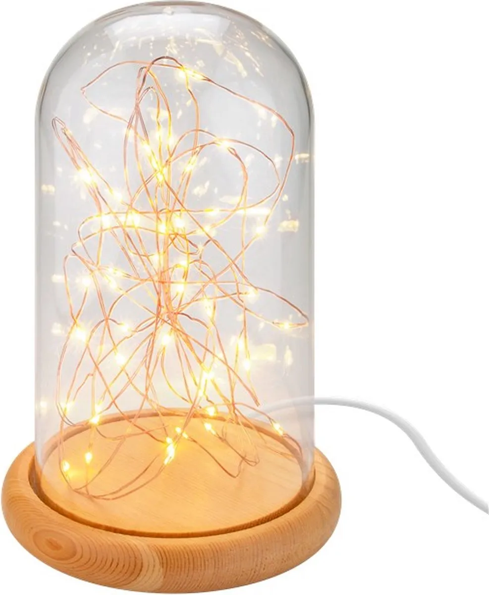 Goobay 60340 LED Lichtdecoratie Figuur - 50 Lampen - 120cm - Warm Wit