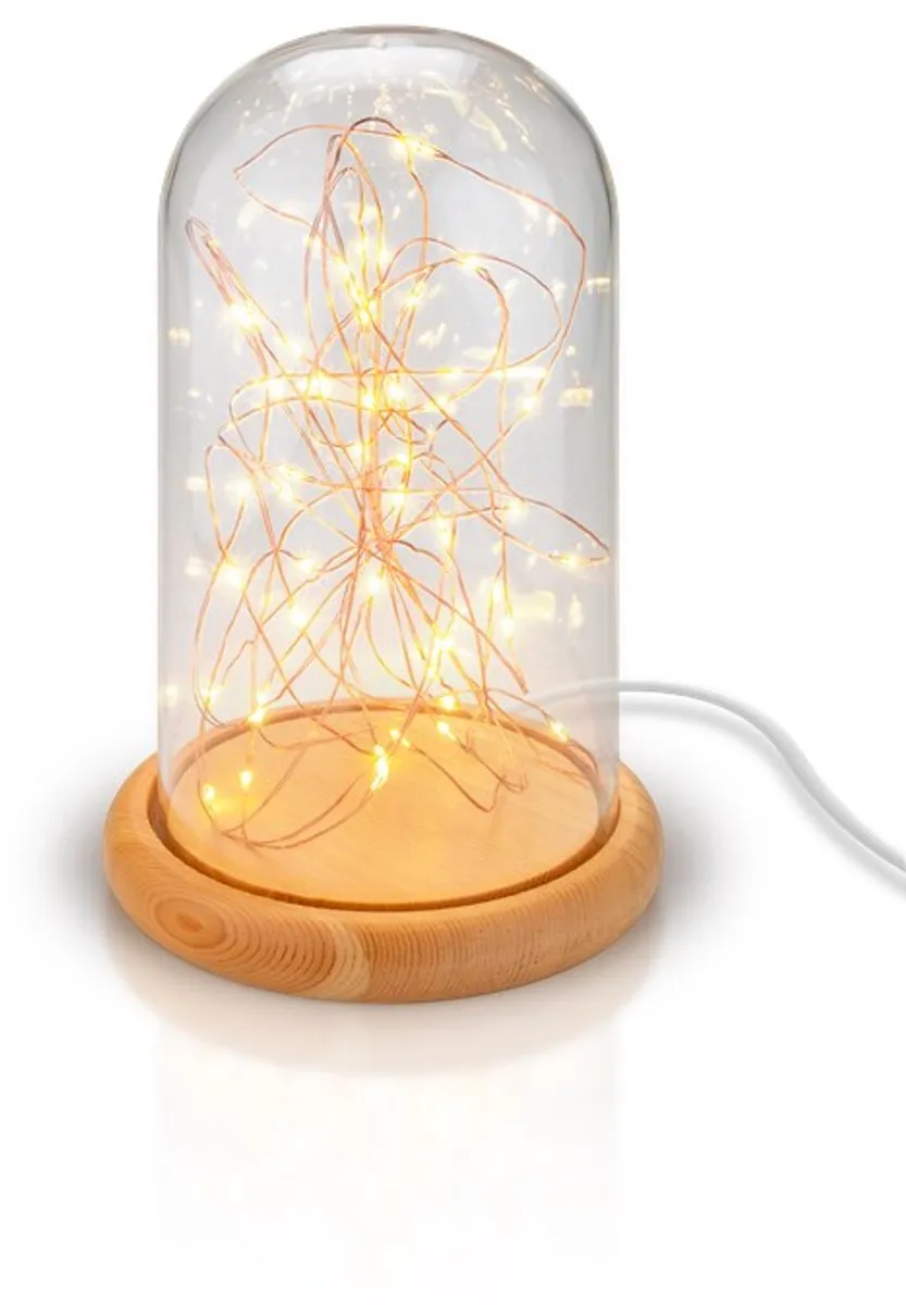 Goobay 60340 LED Lichtdecoratie Figuur - 50 Lampen - 120cm - Warm Wit