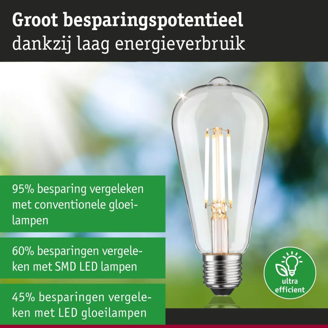 Paulmann Eco-Line LED Kolf ST64 E27 806lm 4,3W 3000K - Helder - afbeelding 6 van 6
