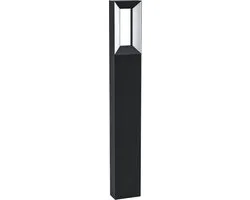 Eglo Riforano Vloerlamp Buiten LED - 2 Lichtpunten - Zwart