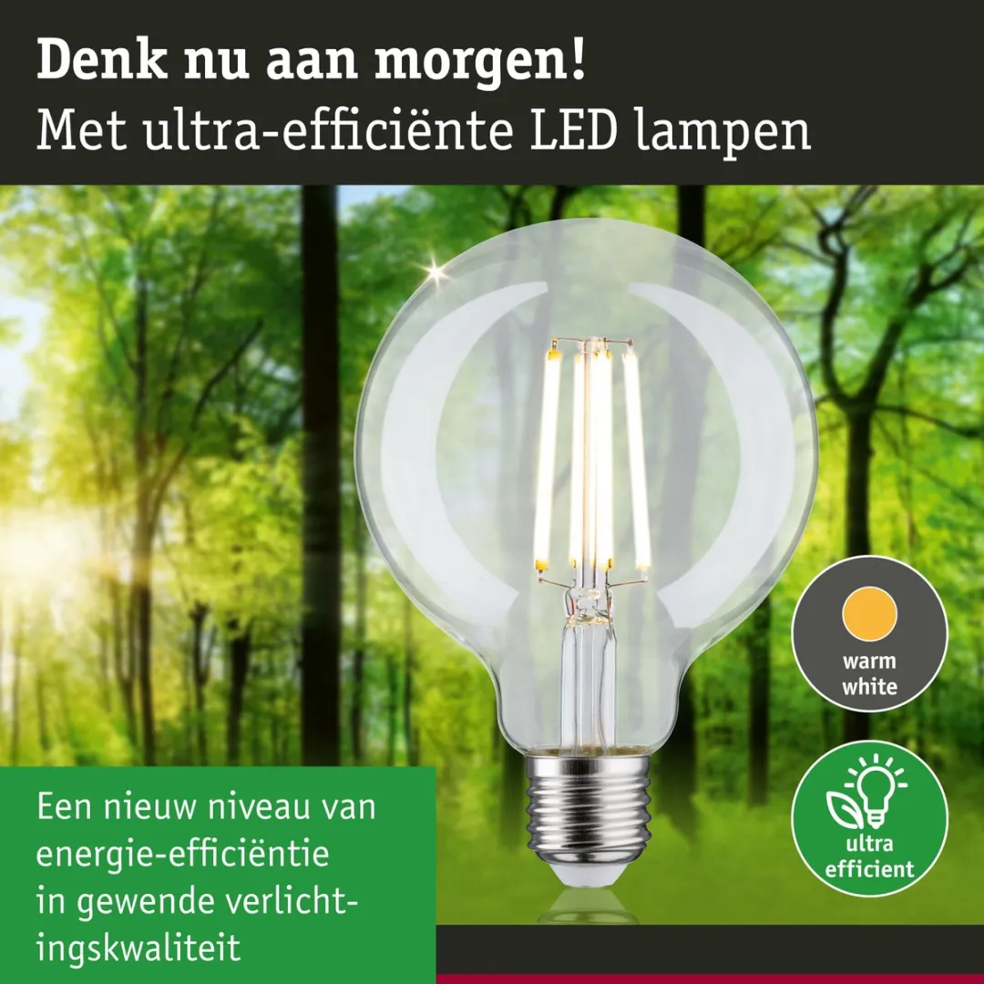 Paulmann Eco-Line LED Globe G95 E27 4W 4000K - Helder - afbeelding 6 van 6