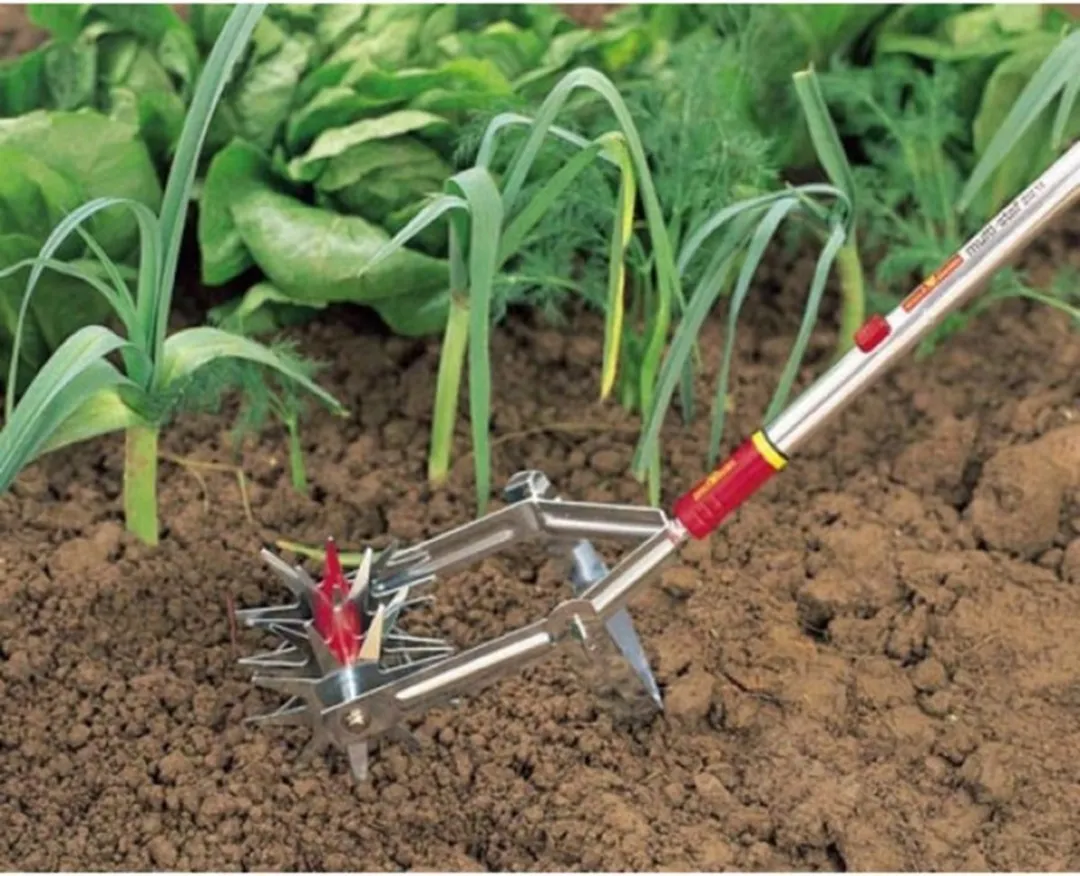 WOLF-Garten Multi-Star DA-S Tuinfrees 15cm