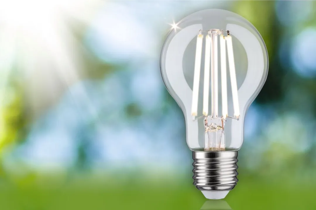 Paulmann Eco-Line LED-gloeilamp E27 4,5W 840lm 4000K - Helder