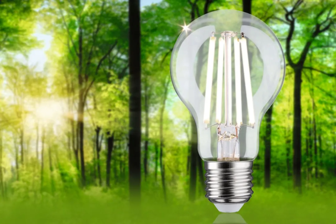 Paulmann Eco-Line LED-gloeilamp E27 4,5W 840lm 4000K - Helder