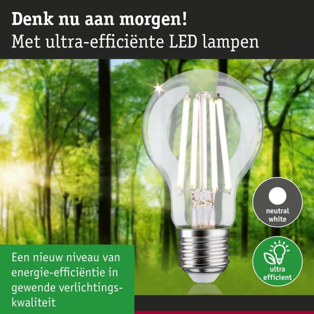 Paulmann Eco-Line LED-gloeilamp E27 4,5W 840lm 4000K - Helder - afbeelding 6 van 6