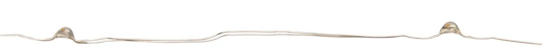 Anna's Collection Draadverlichting Lichtsnoer 3x20 - Warm Wit - Zilver - 100cm