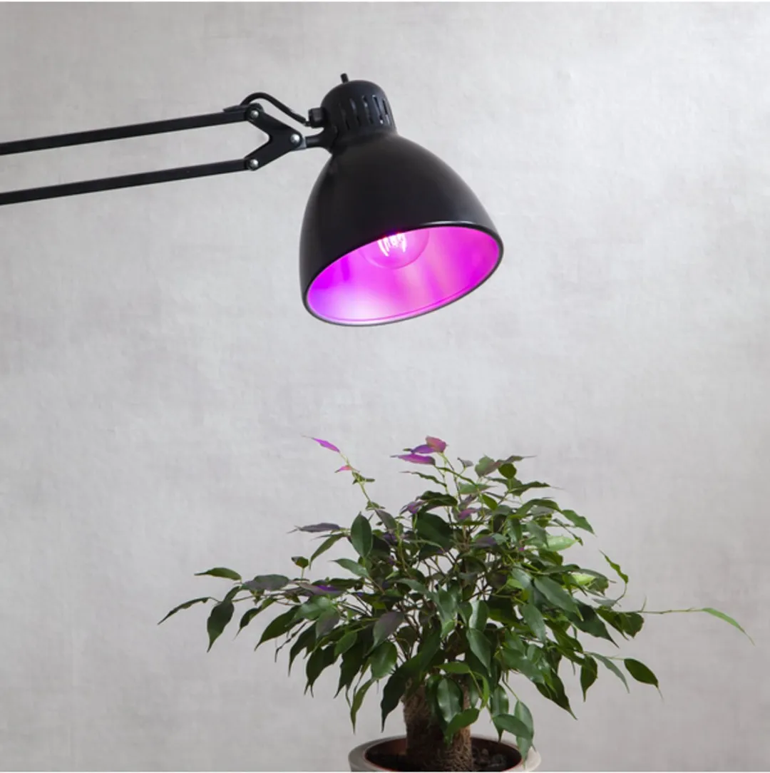 Star Trading Standaard Bol E27 6.5W - Rood Filament
