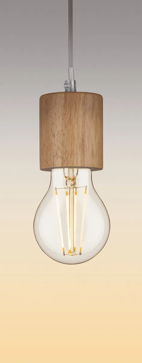 Paulmann Filament LED-gloeilamp E27 5W 470lm 2700K - Helder
