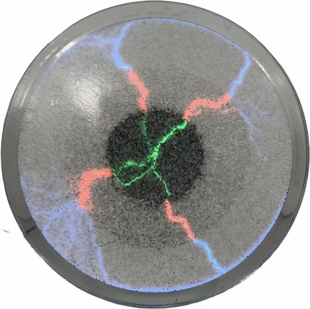 Twinkle Toys Plasma Disk 30cm - Full Color - Zwart - afbeelding 6 van 6