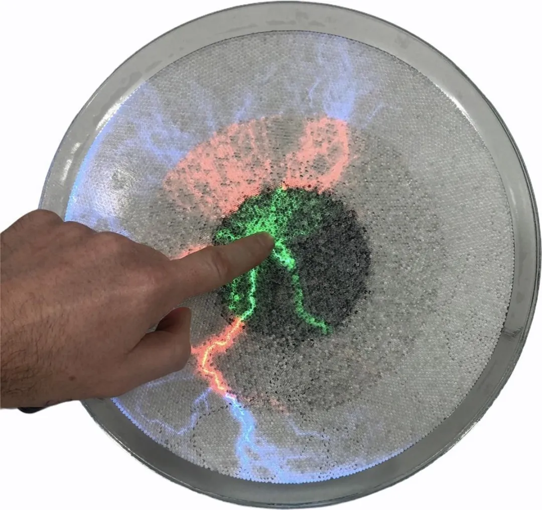 Twinkle Toys Plasma Disk 30cm - Full Color - Zwart