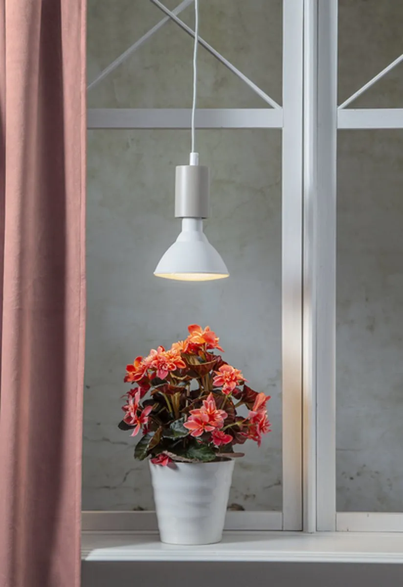 Star Trading Reflectorlamp E27 16W - Warm wit - Mat geel - afbeelding 6 van 6