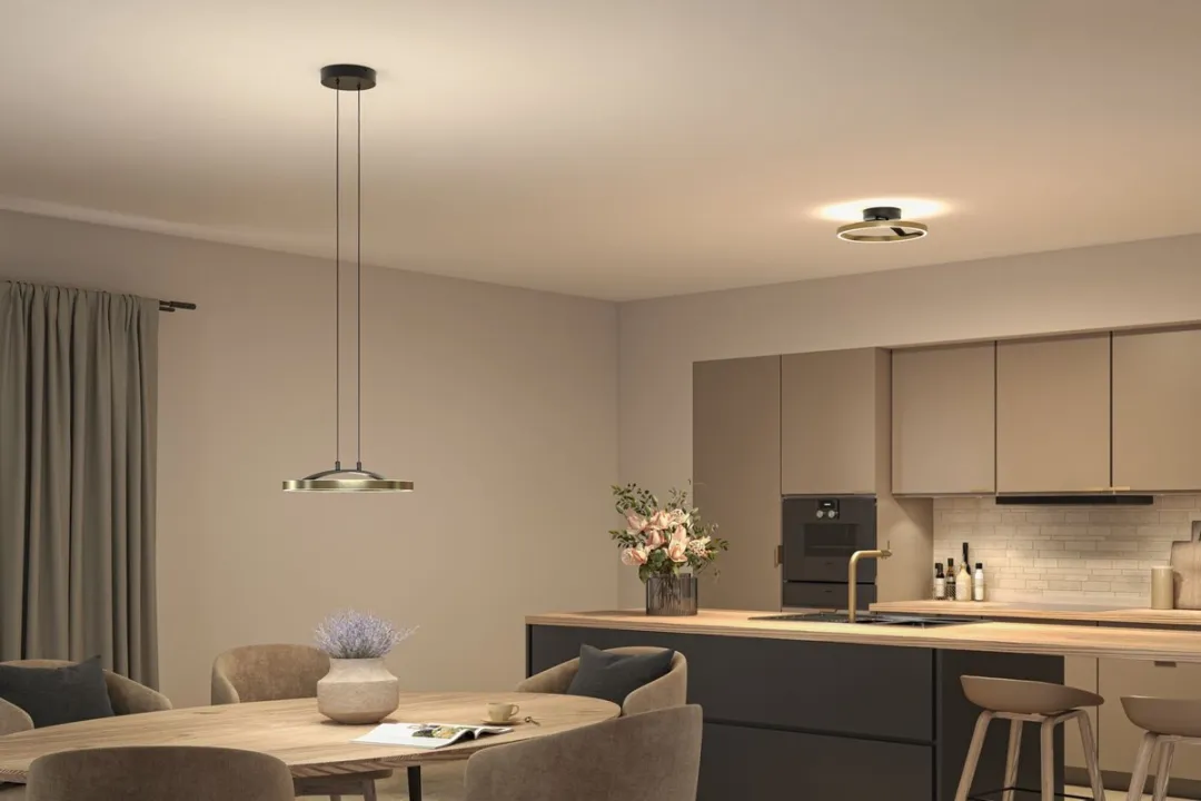 Paulmann Melira LED Plafondlamp 24W 2700K - Zwart mat/Goud