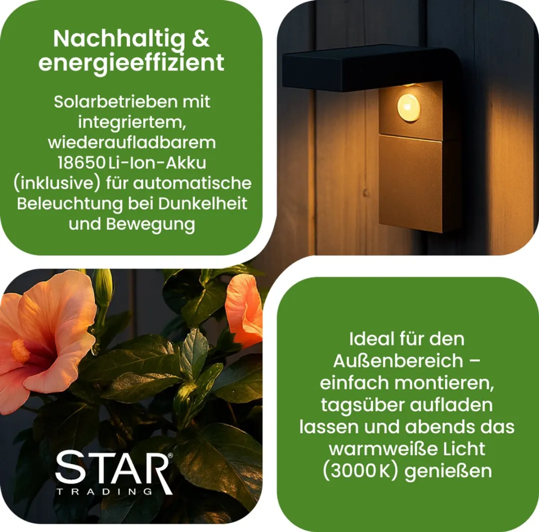 Star Trading Vici LED Wandlantaarn 20cm - 300 Lumen - Warm wit - afbeelding 6 van 6