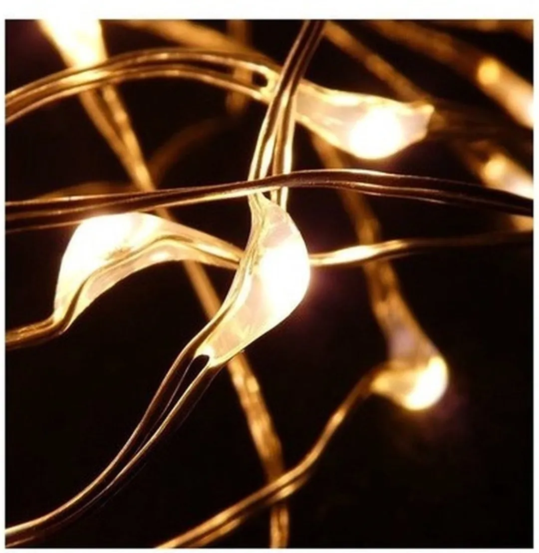 Anna's Collection Draadverlichting Lichtsnoer 2x - 20 LED - 100cm - Koper