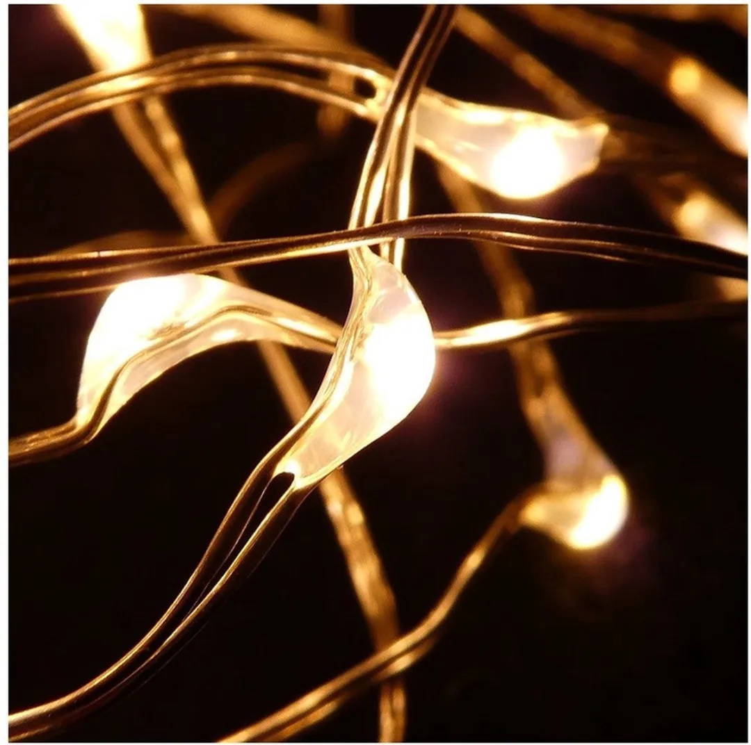 Anna's Collection Draadverlichting Lichtsnoer 2x - 20 LED - 100cm - Koper