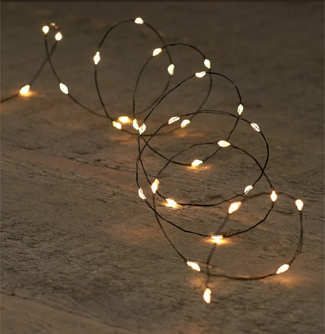 Anna's Collection Draadverlichting lichtsnoer - 2x - 40 led lampjes - warm wit - 200 cm - op batterij - kerstverlichting