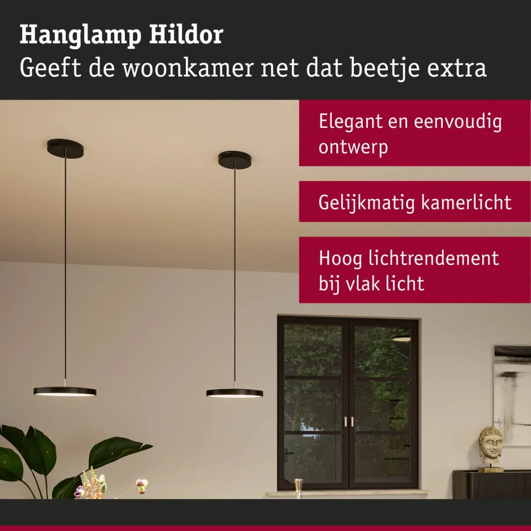 Paulmann Hildor LED-hanglamp Zigbee 3.0 - 1000lm 17W Zwart mat