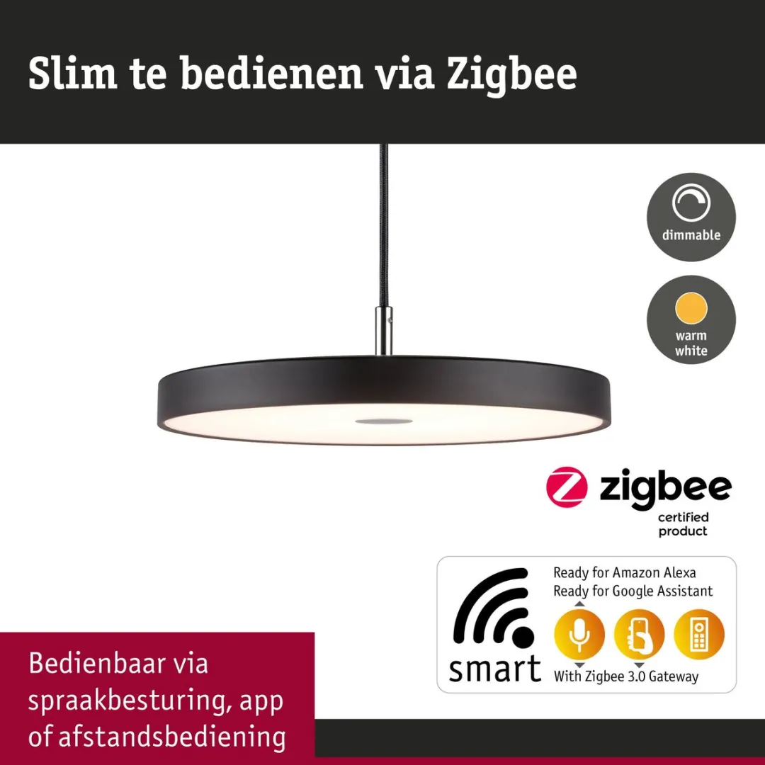 Paulmann Hildor LED-hanglamp Zigbee 3.0 - 1000lm 17W Zwart mat