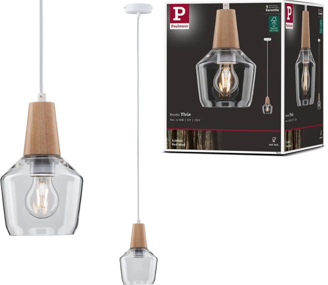 Paulmann Neordic Hanglamp Ylvie E27 20W