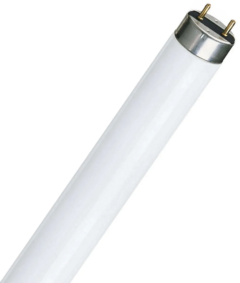 Osram TL-lamp G13 15W 4000K Koelwit - Mat - 1 Stuk - afbeelding 6 van 6