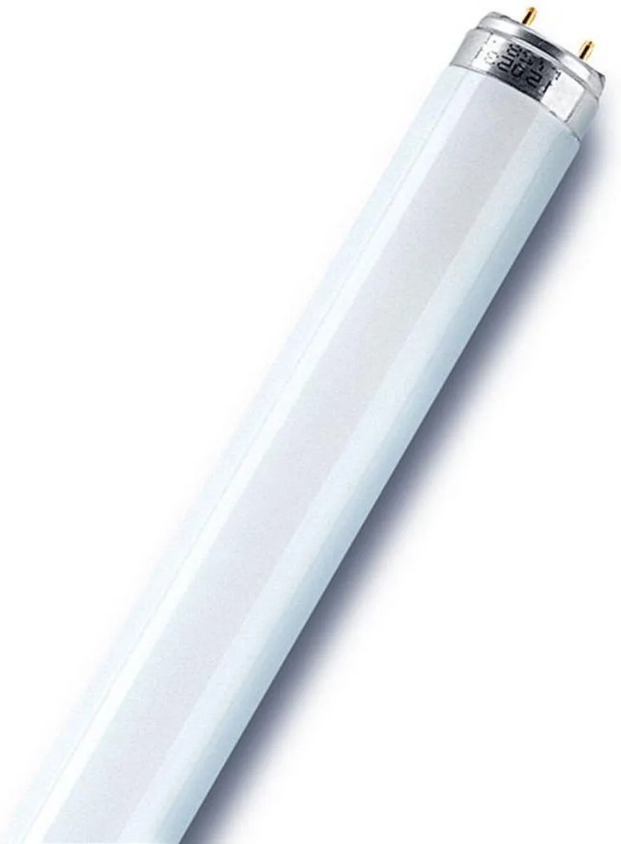 Osram TL-lamp G13 15W 4000K Koelwit - Mat - 1 Stuk