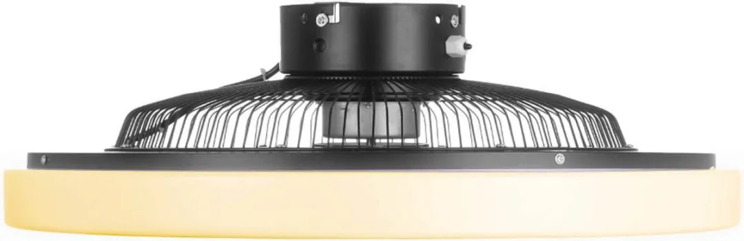 Ceiling fan LRC Black | Lamp en ventilator in 1 | ø 30 cm | 385298