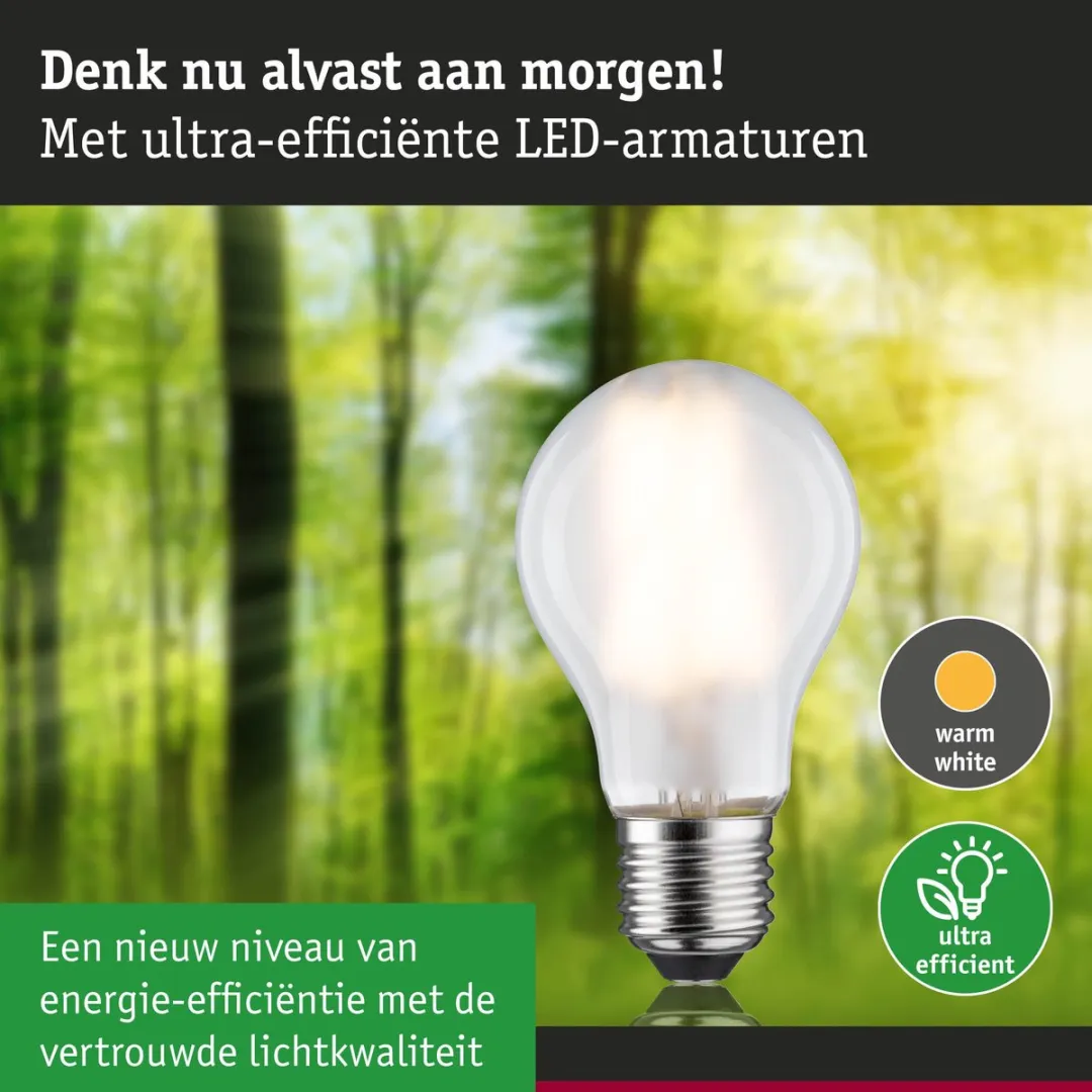 Paulmann Eco-Line LED-gloeilamp E27 7,2W 1521lm Mat - 3000K - afbeelding 6 van 6
