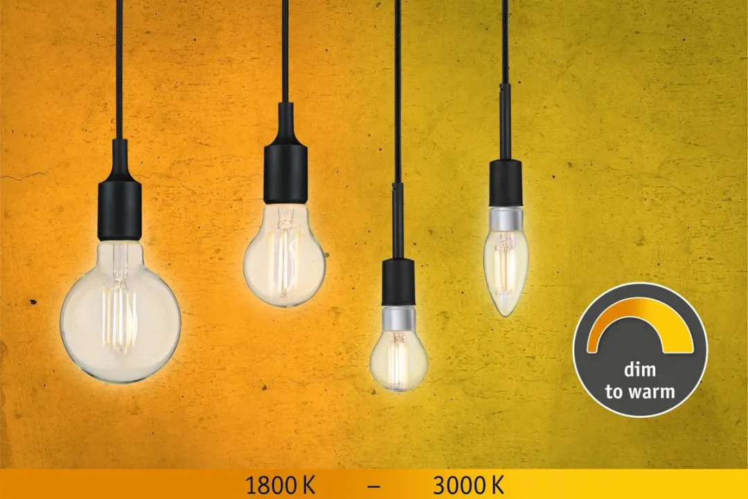 Paulmann Filament LED Globe G95 E27 7W 806lm - Dimbaar Warm Wit - afbeelding 6 van 6