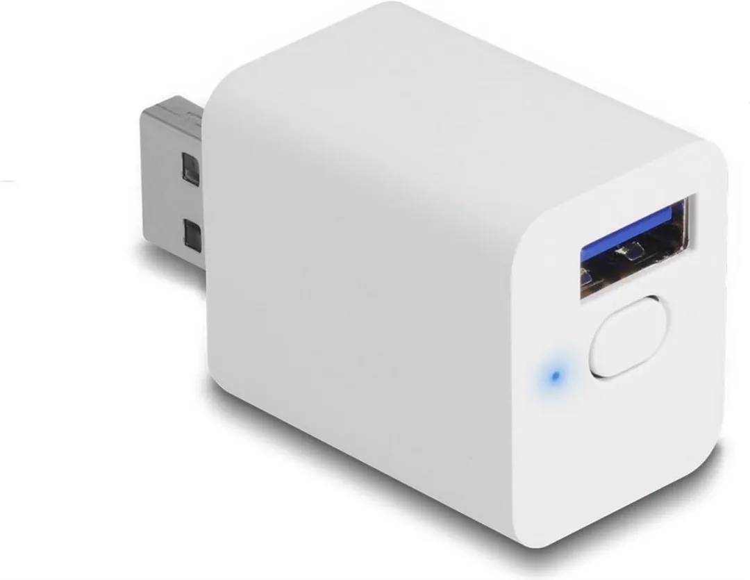 Delock WLAN Smart Schakelaar MQTT - Wit