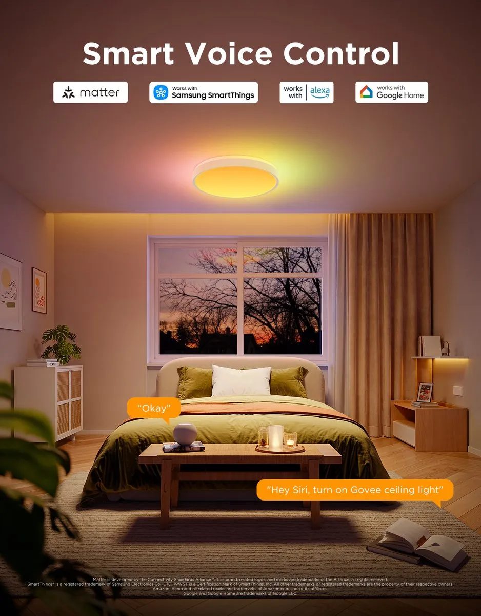 Govee Ceiling Light Pro Plafondlamp 38cm - 2x48.5W RGBW Wit