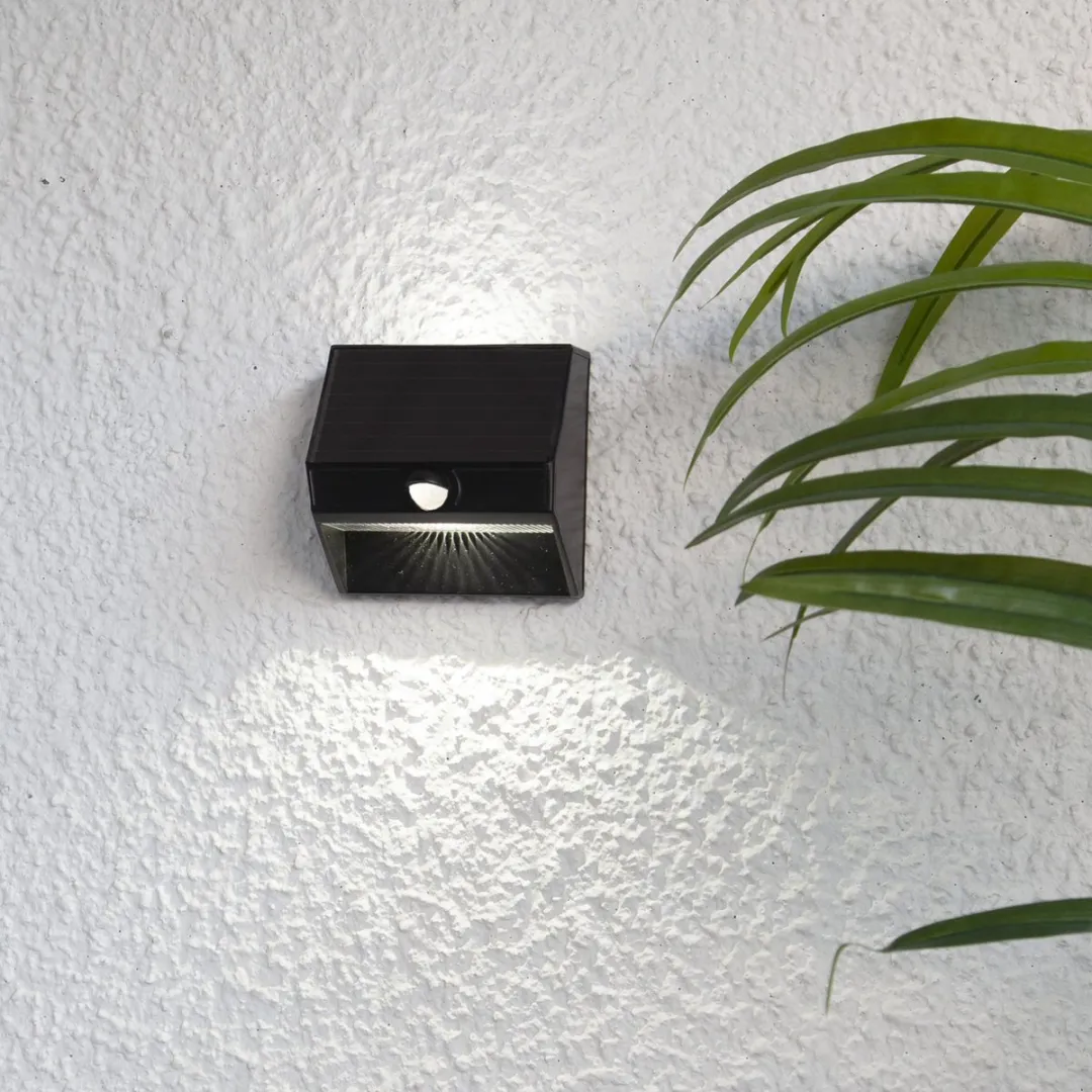 Star Trading Wally Wandlamp Zonne-energie - 2 Lichtpunten - Zwart