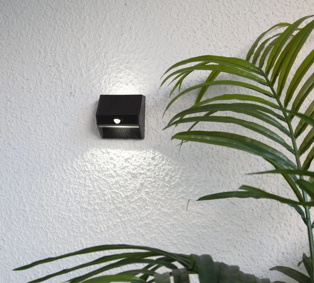 Star Trading Wally Wandlamp Zonne-energie - 2 Lichtpunten - Zwart