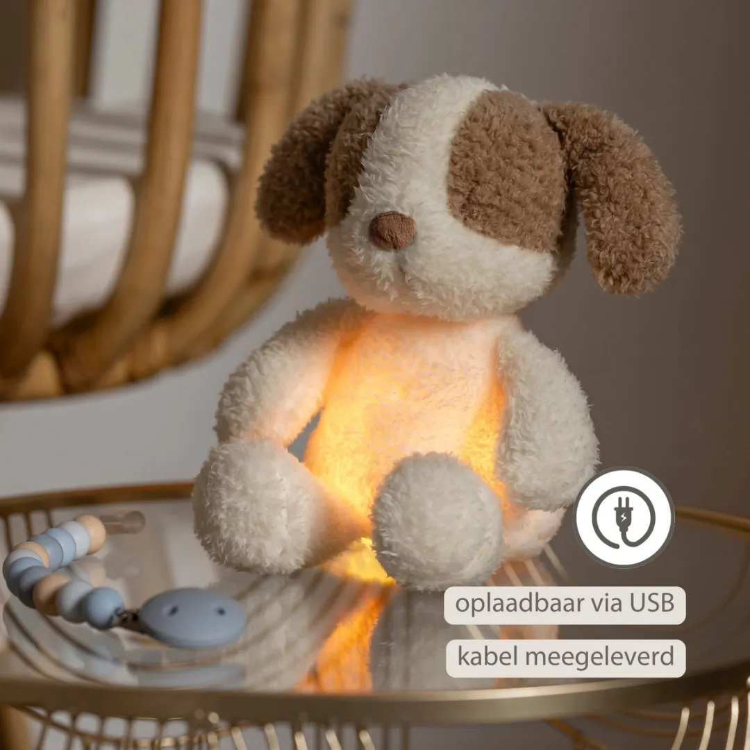Nattou Teddy Baby Nachtlampje Hond 19cm - Beige