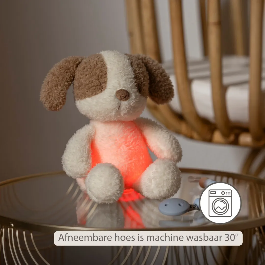 Nattou Teddy Baby Nachtlampje Hond 19cm - Beige - afbeelding 6 van 6
