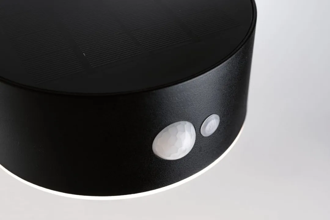 Paulmann Solar Eileen Wandarmatuur Bewegingsmelder IP44 - 300lm Zwart