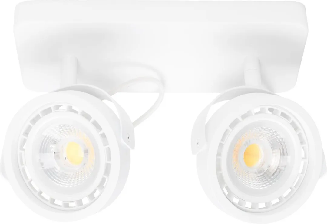 Zuiver Dice-2 DWT Spot Wit - 2 Lichtpunten
