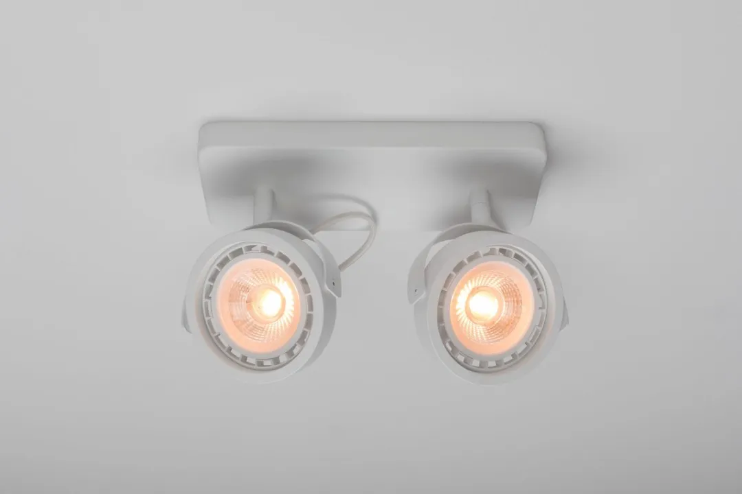 Zuiver Dice-2 DWT Spot Wit - 2 Lichtpunten