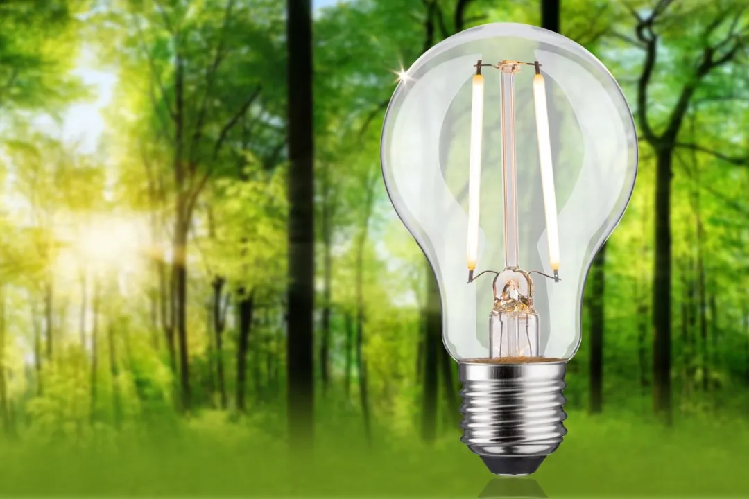 Paulmann Eco-Line LED-gloeilamp E27 2,5W 470lm 3000K - Helder