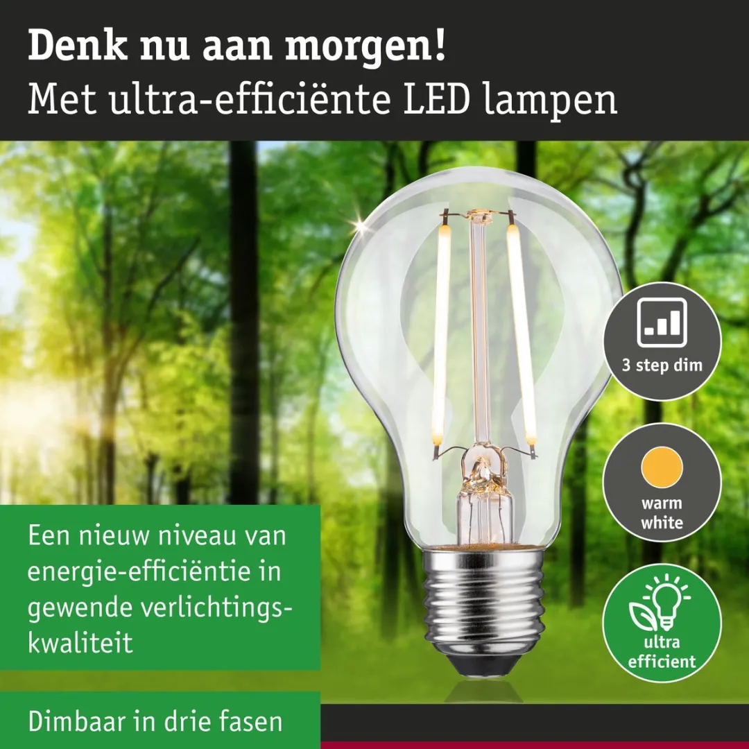 Paulmann Eco-Line LED-gloeilamp E27 2,5W 470lm 3000K - Helder - afbeelding 6 van 6