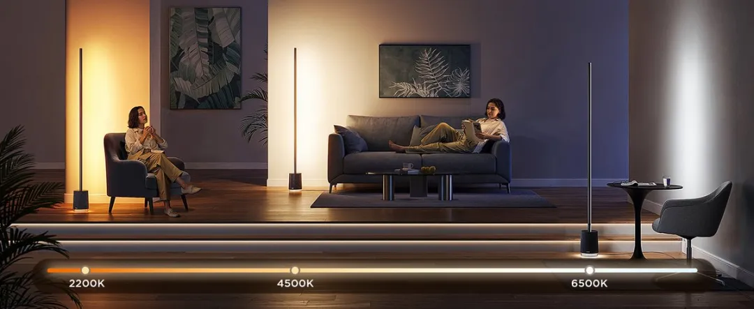 Govee RGBICWW Floor Lamp Pro - RGBW - Zwart