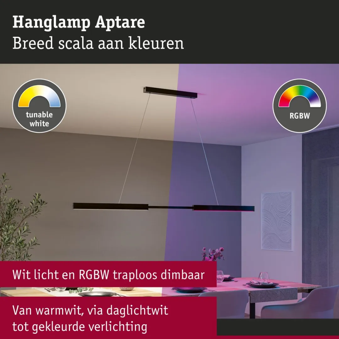 Paulmann Aptare LED Hanglamp Zigbee 3.0 RGBW - 2x2240lm Zwart