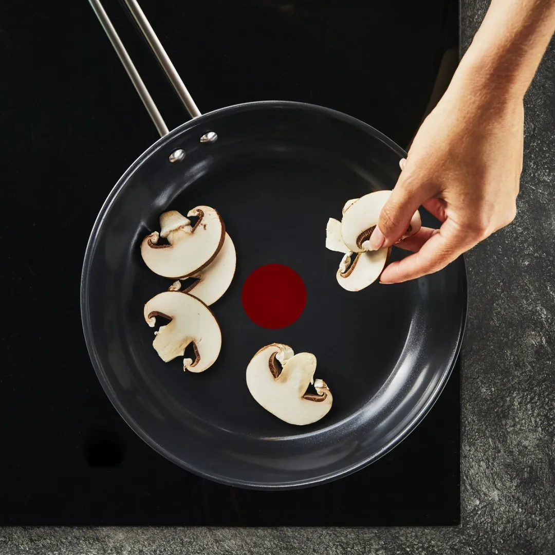 Tefal Nordica Ceramic Koekenpan 24cm - Inductie