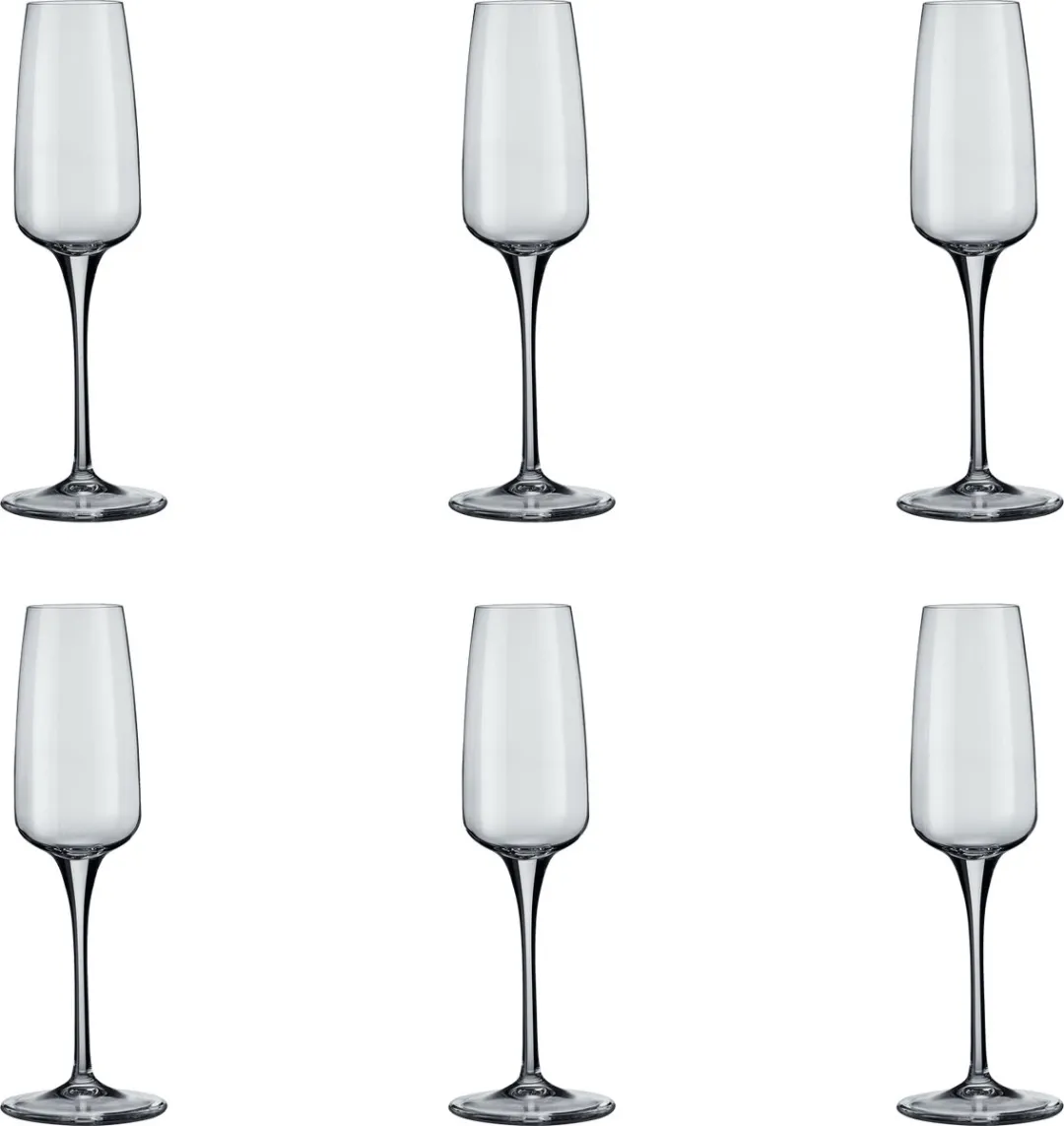 Bormioli Rocco Aurum Champagneglas 23cl - Set van 6